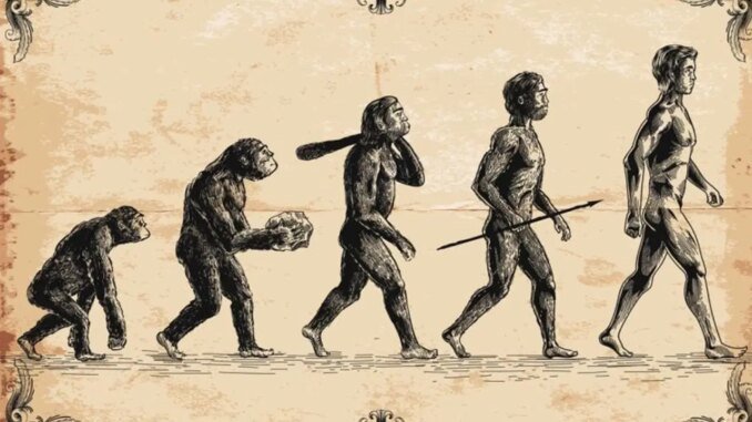 Ardipithecus Ramidus: Evrim Yolculuğunda Geçiş Türünün Derin İncelikleri ve İnsanlık İçin Anlamı - LeoTheMaster