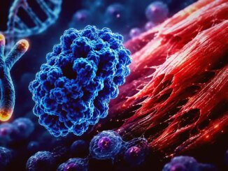 Kas Onarımında Yeni Dönem: Proteinsiz İyileşme Artık Hayal Değil - LeoTheMaster